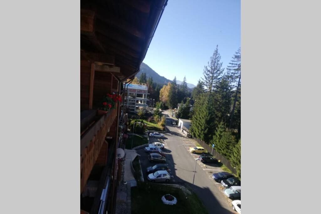 Large Vacation Apartment In Poiana Brasov Eksteriør billede