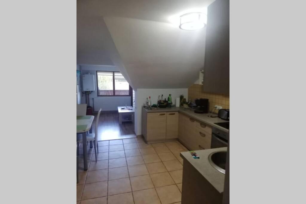 Large Vacation Apartment In Poiana Brasov Eksteriør billede