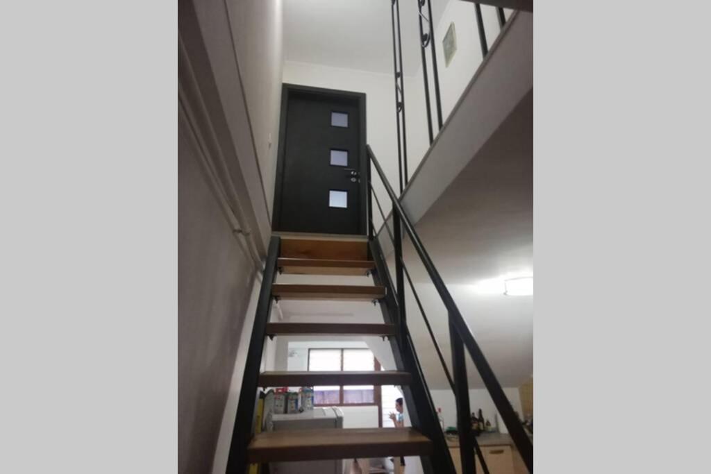 Large Vacation Apartment In Poiana Brasov Eksteriør billede