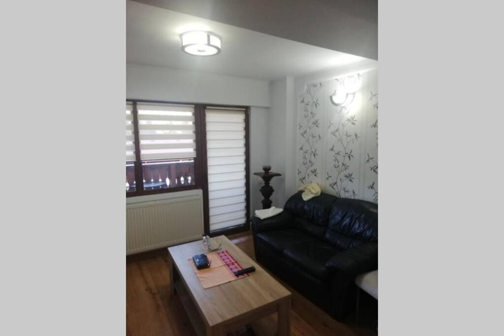 Large Vacation Apartment In Poiana Brasov Eksteriør billede