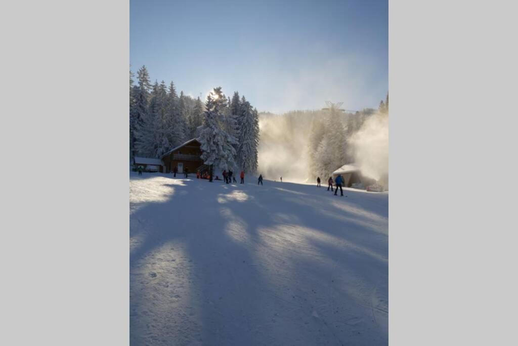 Large Vacation Apartment In Poiana Brasov Eksteriør billede